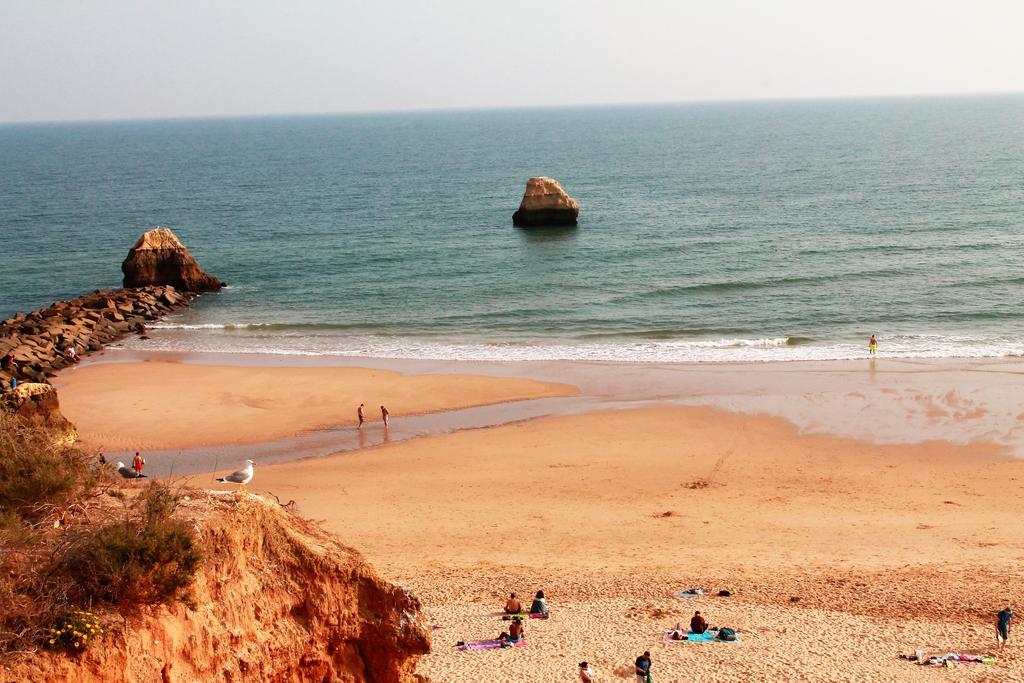 Apartment Da Rocha, 808 Tarik, Lovely Studio, Sea View, Air Conditioning, Free Wi-fi, By Ig *